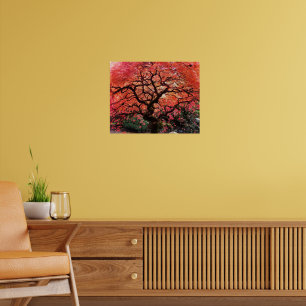 Flaming Gnarly Japanese Maple Tree Poster