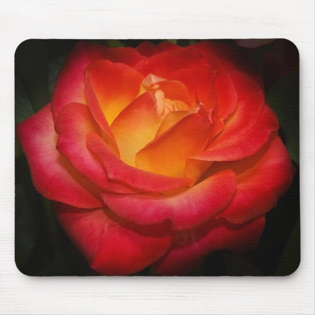 Flaming rose mousepad (Front)
