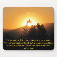 Flaming tree Sunset with Hal Borland quote