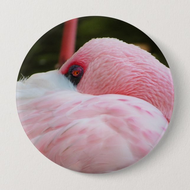 Flamingo  10 cm round badge (Front)