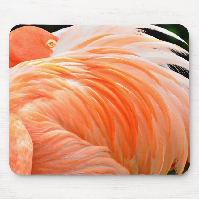 Flamingo 1 Mousepad (Front)