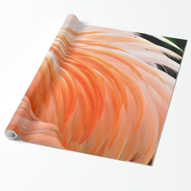 Flamingo 1 Wrapping Paper (Unrolled)