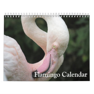 Flamingo 2025 calendar