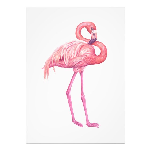 Flamingo 2 photo print (Front)