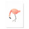 Flamingo 2
