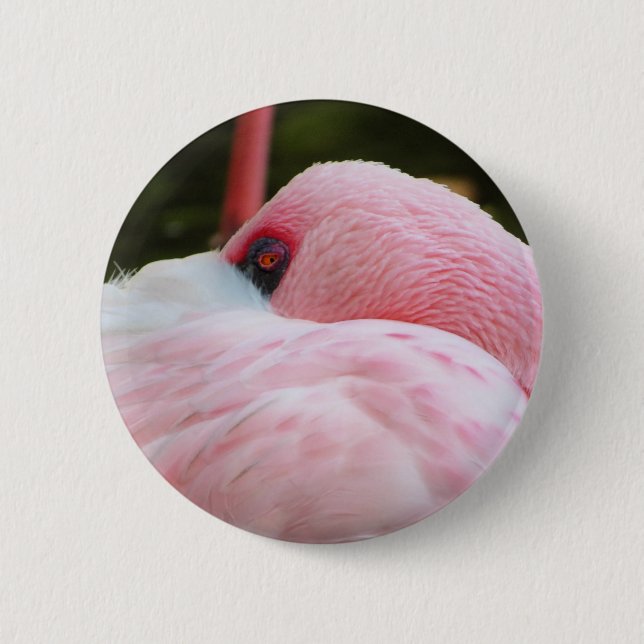 Flamingo  6 cm round badge (Front)