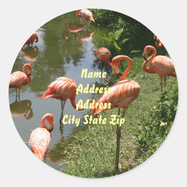 Flamingo Address Label (Front)