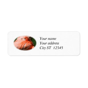 Flamingo Address Label Return Address Label
