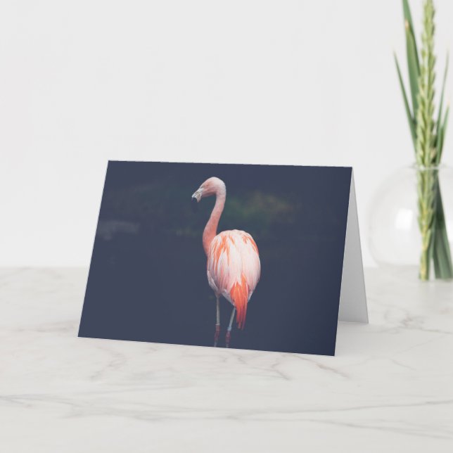 Flamingo At Dusk Card (Front)