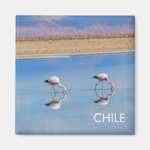 Flamingo, Atacama Desert, Chile Magnet