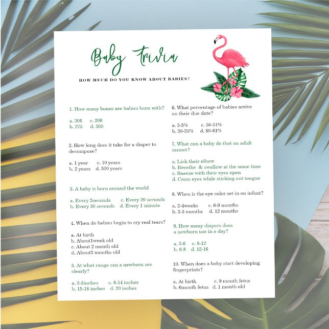 Flamingo - Baby Trivia | Baby Shower Game (Creator Uploaded)