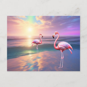 Flamingo Beach Postcard