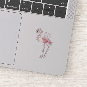 Flamingo bird cartoon illustration