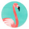 Flamingo Bird