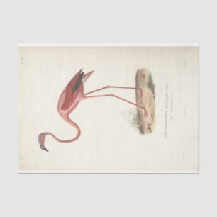 Flamingo Bird Ephemera Decoupage Tissue Paper