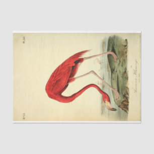 Flamingo Bird Ephemera Decoupage Tissue Paper