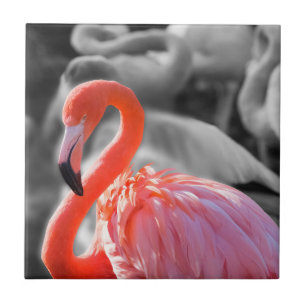 Flamingo Bird Photography Ceramic Tile