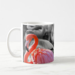 Flamingo Bird Photography Coffee Mug