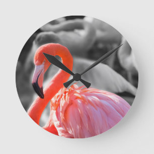 Flamingo Bird Photography Round Clock