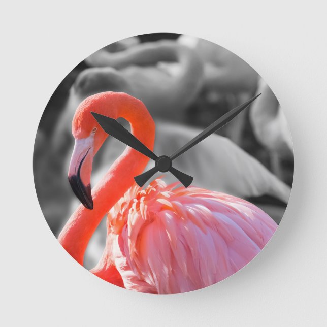 Flamingo Bird Photography Round Clock (Front)