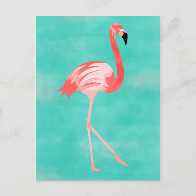 Flamingo Bird Postcard (Front)