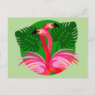 Flamingo Birds Postcard