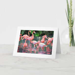 Flamingo Birthday Card