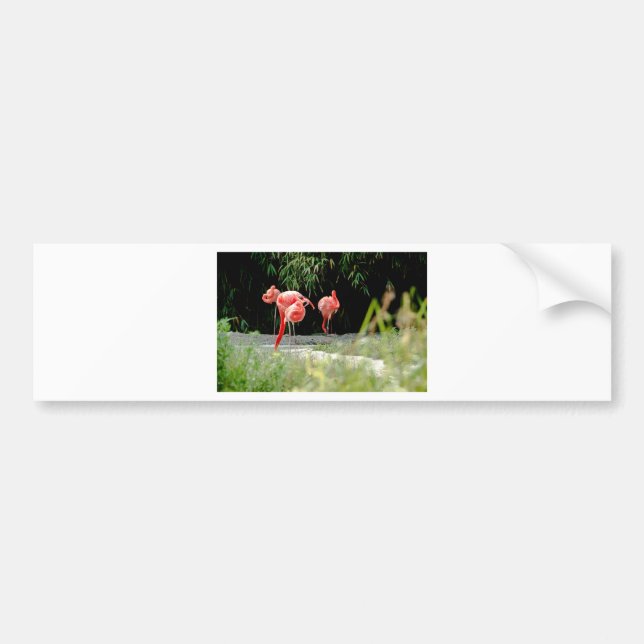 flamingo bumper sticker (Front)