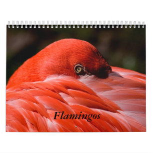 Flamingo Calendar