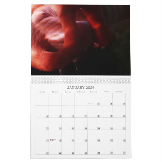 Flamingo Calendar (Jan 2026)