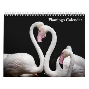 Flamingo Calendar 2025