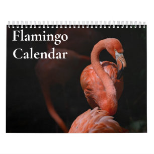 Flamingo Calendar 2025