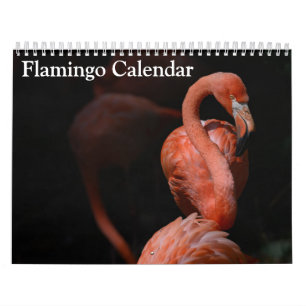 Flamingo Calendar 2025