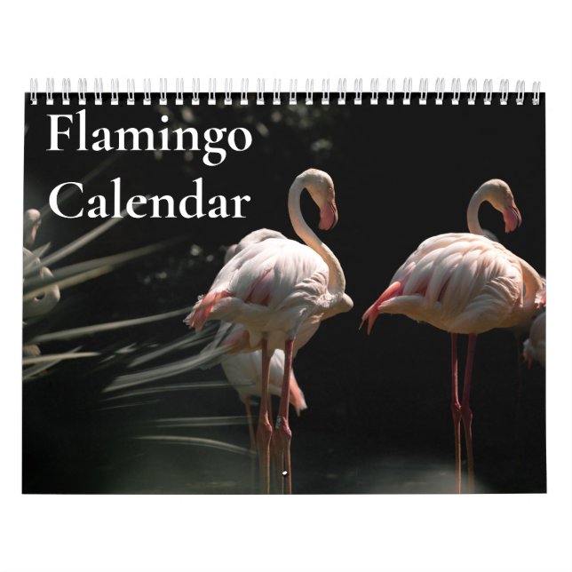 Flamingo Calendar 2026 (Cover)