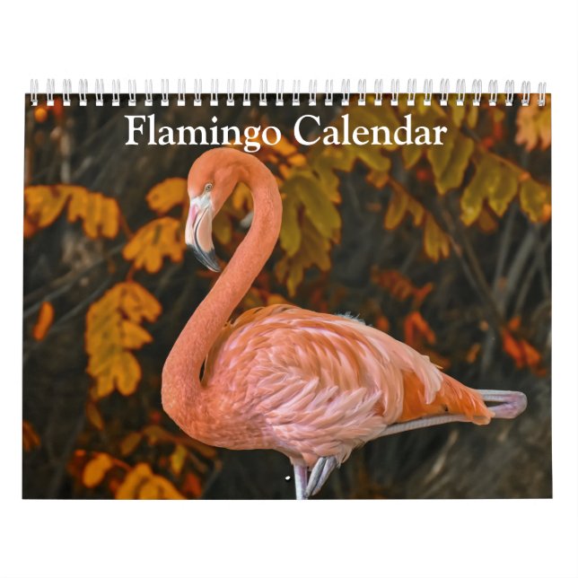 Flamingo Calendar 2027 (Cover)