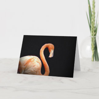 Flamingo Card