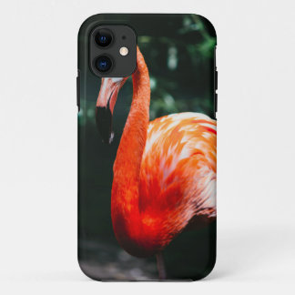 Flamingo iPhone 11 Case
