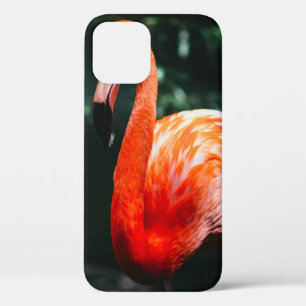 FLAMINGO iPhone 12 CASE