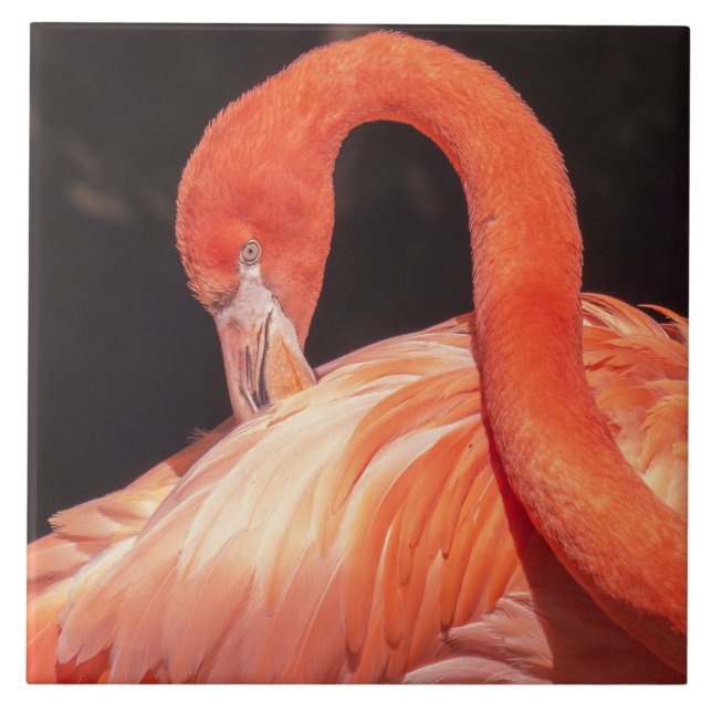Flamingo Ceramic Tile (Front)