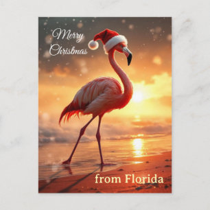 Flamingo Christmas Holiday Postcard