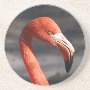 Flamingo Coaster