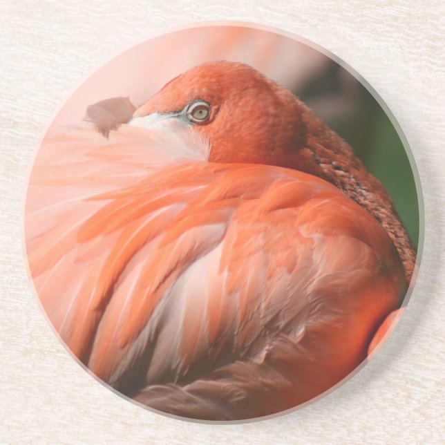 Flamingo Coaster (Front)