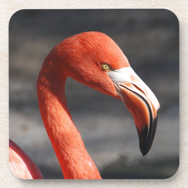 Flamingo Coaster (Front)