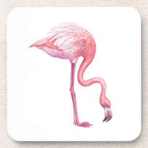 Flamingo Coaster