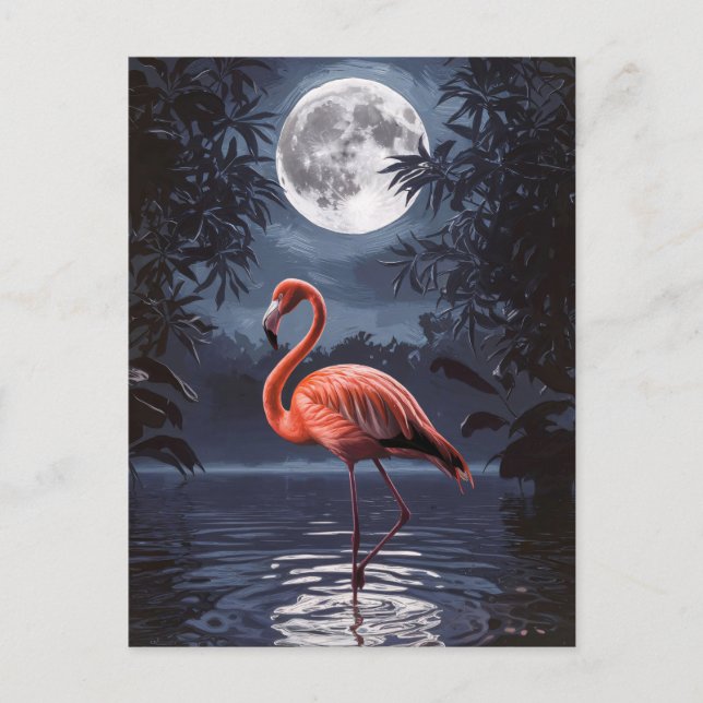 Flamingo Dramatic Full Moon Postcard (Front)