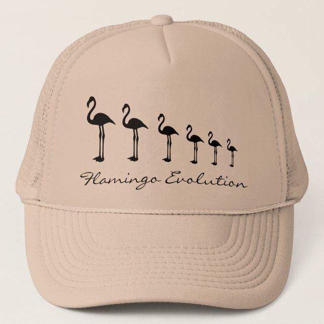 Flamingo Evolution Funky Hat / Cap (Front)