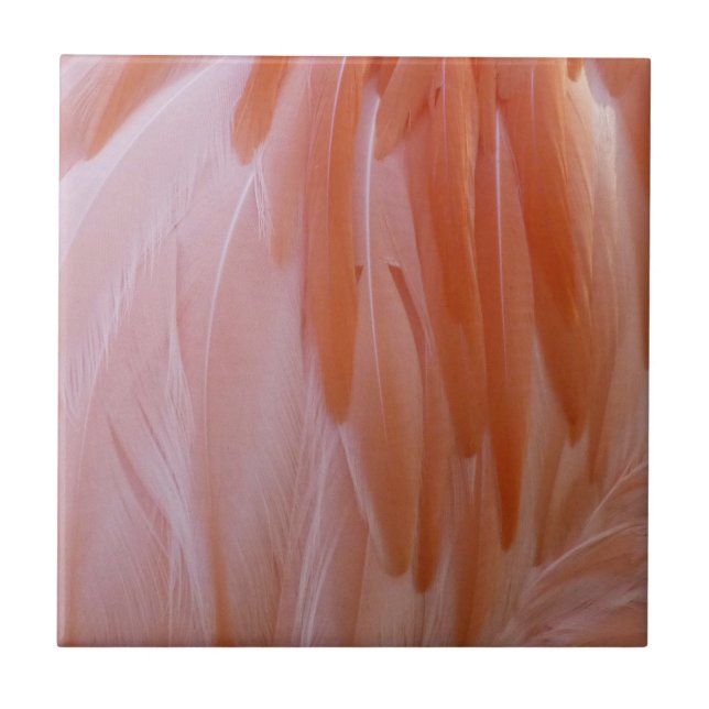 Flamingo Feathers in Shades of Pink Ceramic Tile (Front)