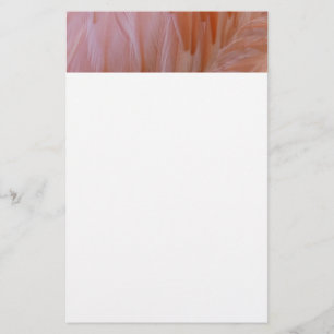 Flamingo Feathers in Shades of Pink Stationery
