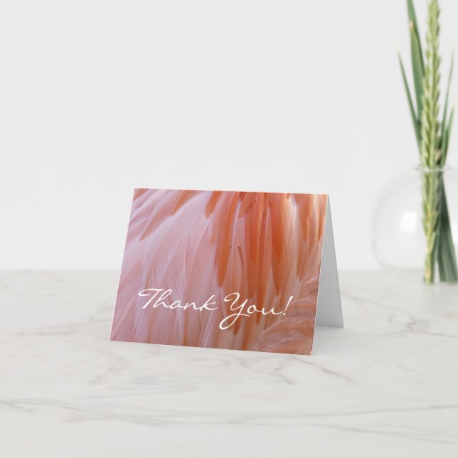 Flamingo Feathers in Shades of Pink Thank You Card (Front)