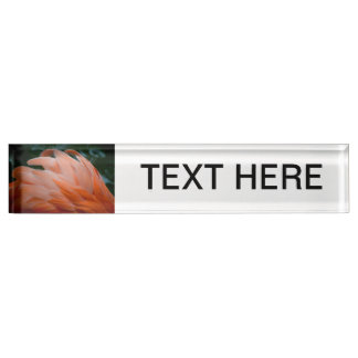 flamingo feathers ruffled closeup bird nameplate